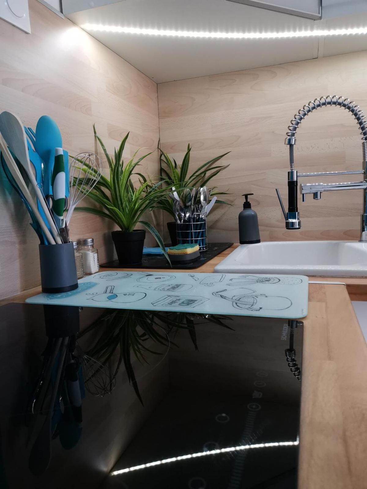Appartement Vue Mer,Acces Direct Plage,Fibre,Clim,Parking Public Gratuit Le Barcarès Zewnętrze zdjęcie